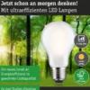 Paulmann 29256 Eco-Line Filament 230V LED Birne E27 806lm 3000K 3-Step-Dim Matt