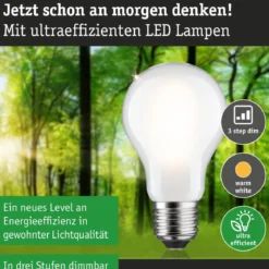 Paulmann 29258 Eco-Line Filament 230V LED Birne E27 1521lm 3000K 3-Step-Dim Matt