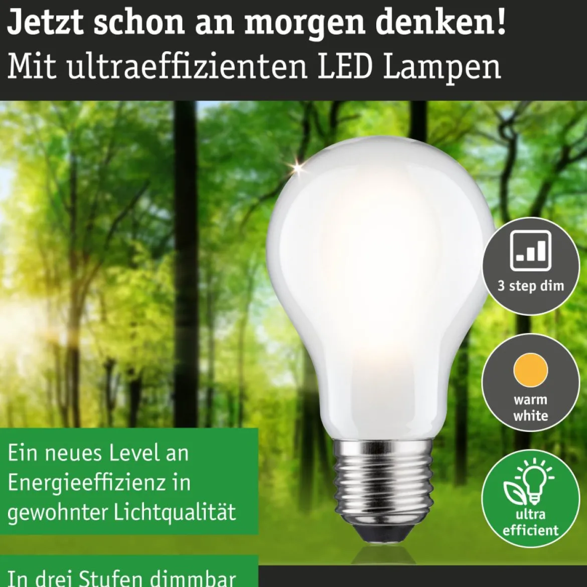 Paulmann 29258 Eco-Line Filament 230V LED Birne E27 1521lm 3000K 3-Step-Dim Matt