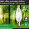 Paulmann 29203 Eco-Line Filament 230V LED Kerze E14 840lm 4000K Klar