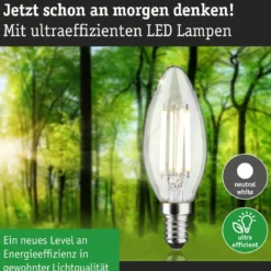 Paulmann 29203 Eco-Line Filament 230V LED Kerze E14 840lm 4000K Klar
