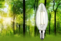 Paulmann 29203 Eco-Line Filament 230V LED Kerze E14 840lm 4000K Klar