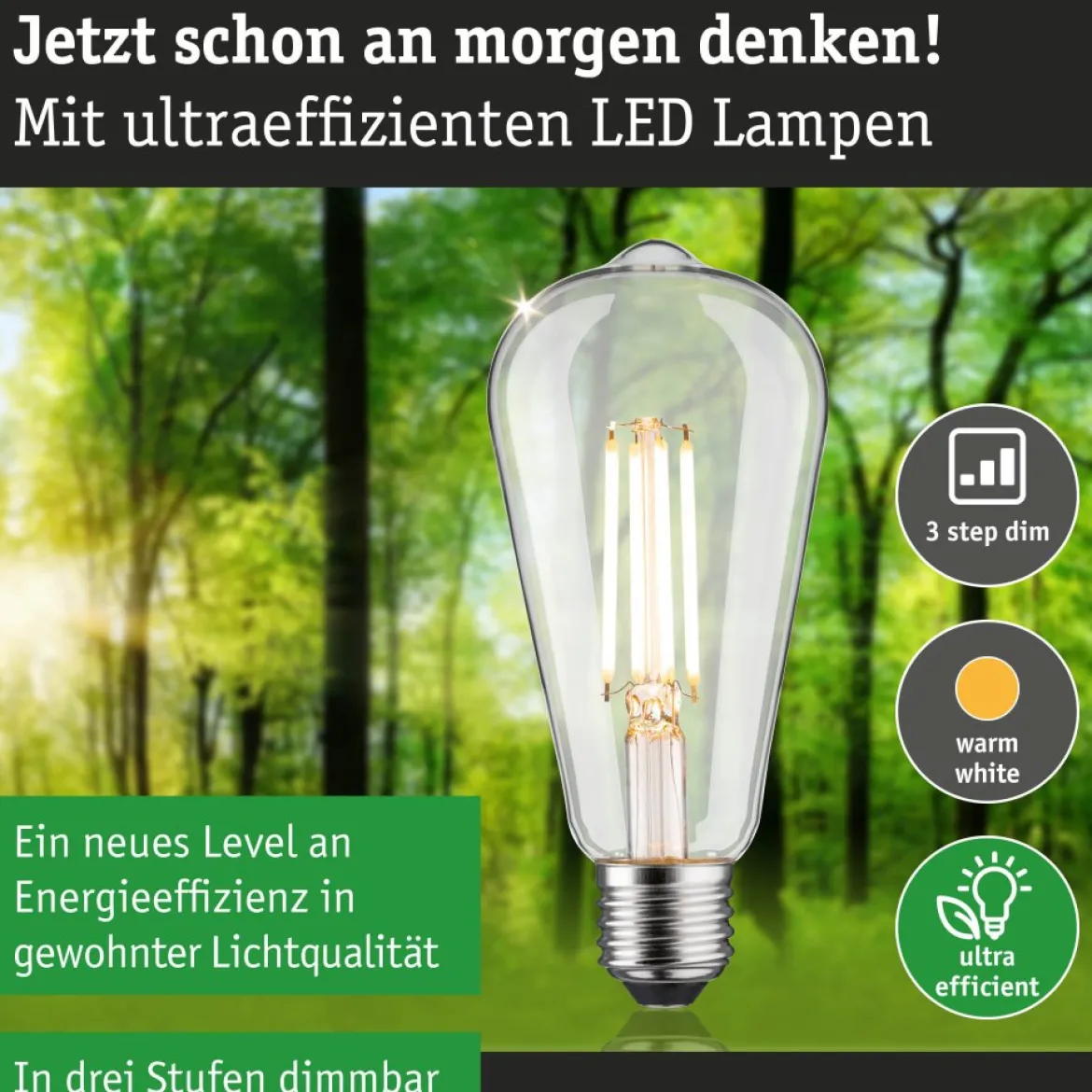 Paulmann 29249 Eco-Line LED Kolben ST64 E27 806lm 3000K 3-Step-Dim Klar