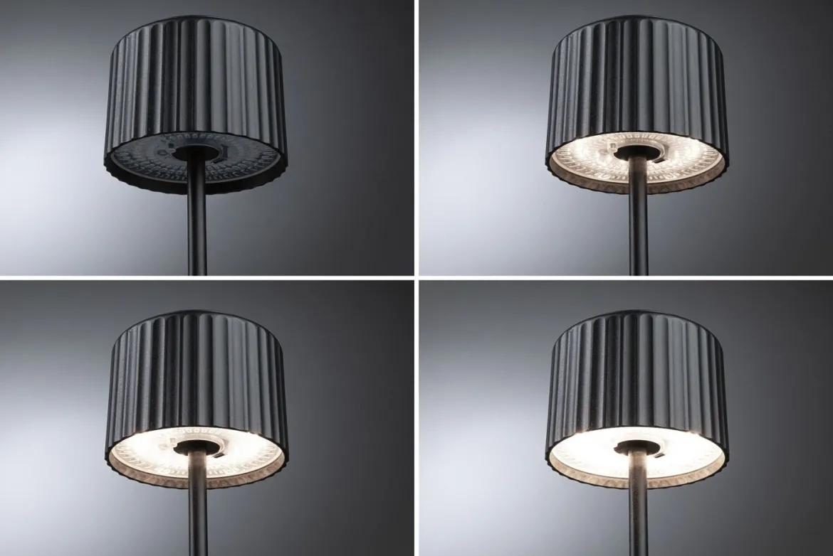 Paulmann 94878 LED Akkuleuchte Else 2700K IP44 dimmbar Schwarz