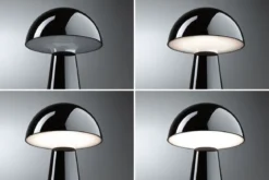 Paulmann 76994 LED Akkuleuchte Onzo 2700K IP44 3-Step-Dim schwarz