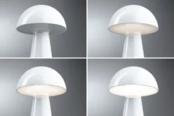 Paulmann 76995 LED Akkuleuchte Onzo 2700K IP44 3-Step-Dim weiß