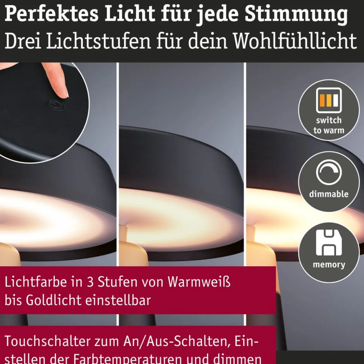 Paulmann 77060 LED Akku Tischleuchte Lirox White Switch IP44 dimmbar Schwarz