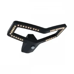Paulmann 94793 LED Außenwandleuchte Smart Home Zigbee 3.0 Alara Bewegungsmelder RGBW