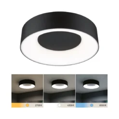 Paulmann 71096 LED Deckenleuchte Casca schwarz matt IP44 White Switch 30cm