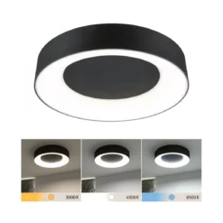 Paulmann 71097 LED Deckenleuchte Casca Schwarz IP44 White Switch 40cm