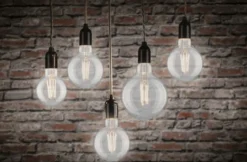 Paulmann 28968 LED Globe G80 E27 Klar 2700K dimmbar
