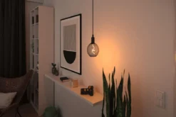 Paulmann 29261 LED Lichtquelle Globe Metallic Glow E27 Goldlicht schwarz dimmbar