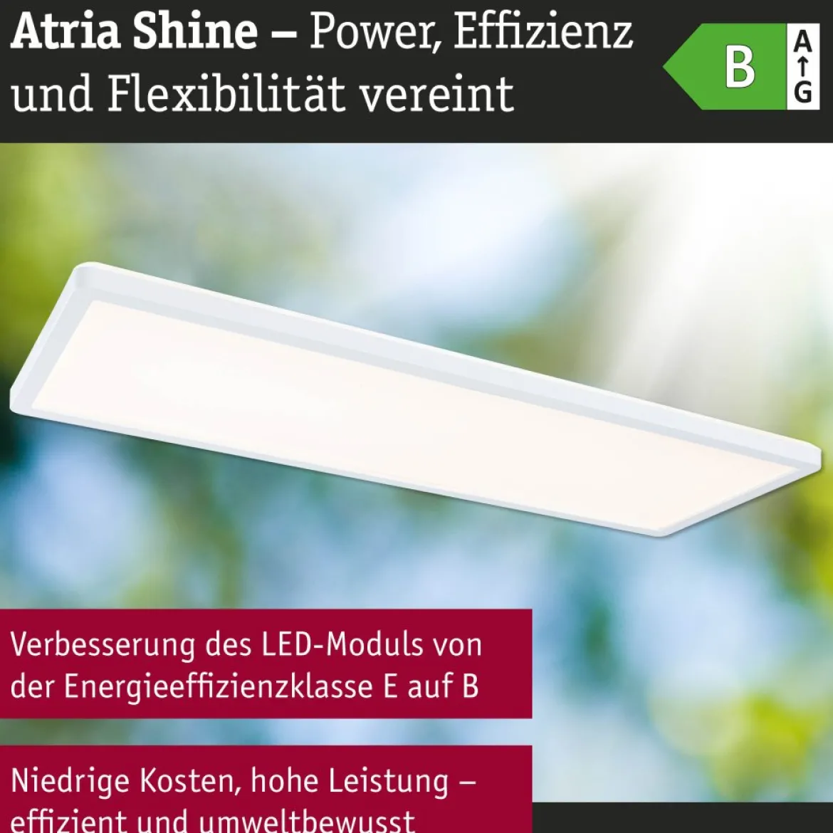 Paulmann 71310 LED Panel Atria Shine 560x200mm 3000-6500K Weiß IP44
