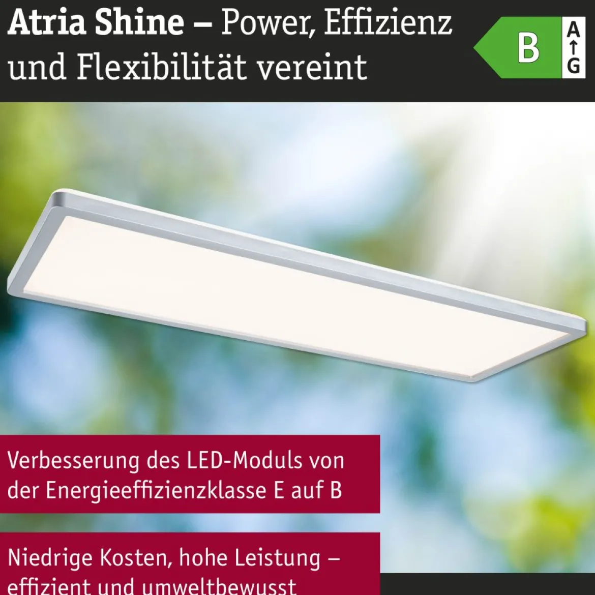 Paulmann 71312 LED Panel Atria Shine 560x200mm 3000-6500K Chrom IP44