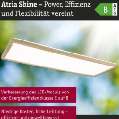Paulmann 71311 LED Panel Atria Shine 560x200mm 3000-6500K Holzoptik IP44