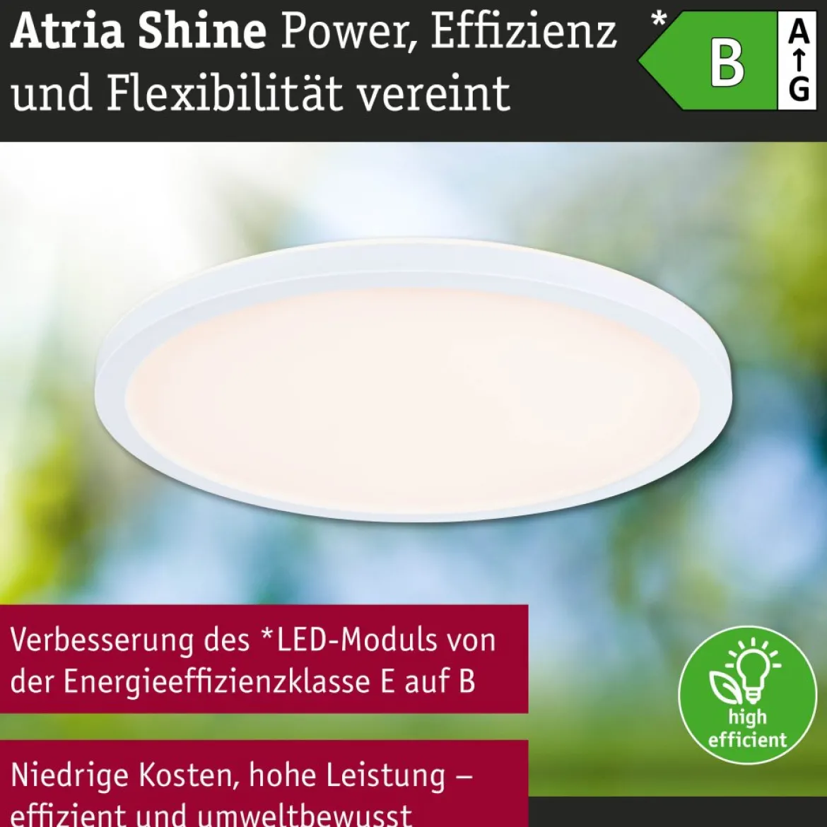 Paulmann 71275 LED Panel Atria Shine 298mm 3000-6500K Weiß IP44