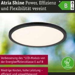 Paulmann 71276 LED Panel Atria Shine 298mm 3000-6500K Schwarz IP44