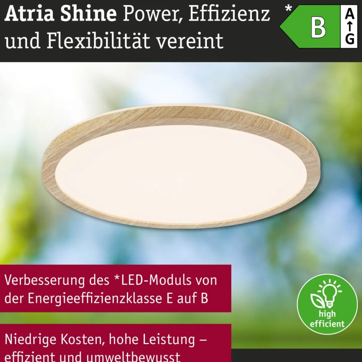 Paulmann 71277 LED Panel Atria Shine 298mm 3000-6500K Holzoptik IP44