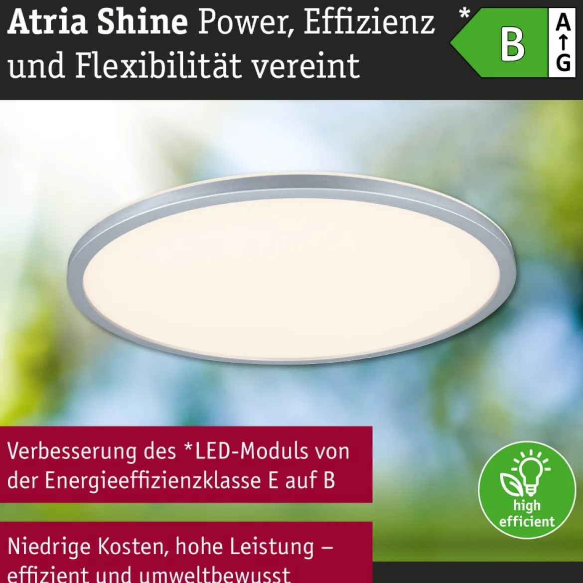 Paulmann 71278 LED Panel Atria Shine 398mm 3000-6500K Chrom matt IP44