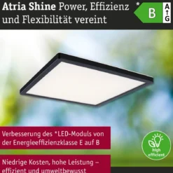 Paulmann 71256 LED Panel Atria Shine 298x298mm 3000-6500K Schwarz IP44