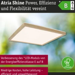 Paulmann 71259 LED Panel Atria Shine 298x298mm 3000-6500K Holzoptik IP44