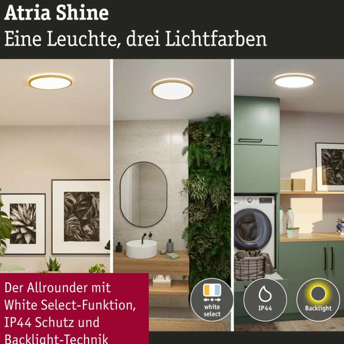 Paulmann 71260 LED Panel Atria Shine 398mm 3000-6500K Holzoptik IP44