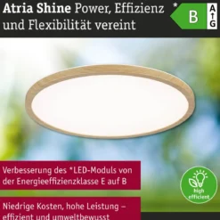 Paulmann 71260 LED Panel Atria Shine 398mm 3000-6500K Holzoptik IP44