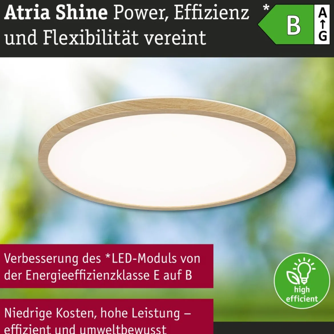Paulmann 71260 LED Panel Atria Shine 398mm 3000-6500K Holzoptik IP44