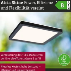 Paulmann 71267 LED Panel Atria Shine 190x190mm 3000-6500K Schwarz IP44