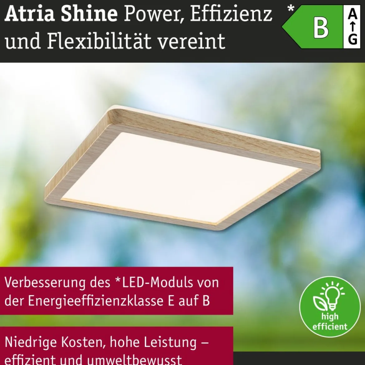 Paulmann 71268 LED Panel Atria Shine 190x190mm 3000-6500K Holzoptik IP44