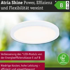 Paulmann 71270 LED Panel Atria Shine 190mm 3000-6500K Weiß IP44