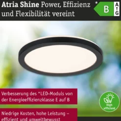 Paulmann 71271 LED Panel Atria Shine 190mm 3000-6500K Schwarz IP44