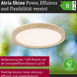 Paulmann 71272 LED Panel Atria Shine 190mm 3000-6500K Holzoptik IP44