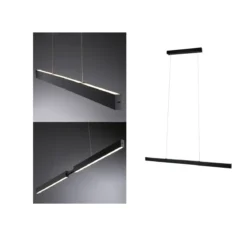 Paulmann 76989 LED Pendelleuchte Aptare Touchless Sensor 2700K Schwarz dimmbar