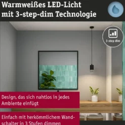 Paulmann 79997 LED Pendelleuchte Kame Schwarz 3-Step Dim IP44
