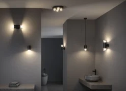 Paulmann 79997 LED Pendelleuchte Kame Schwarz 3-Step Dim IP44