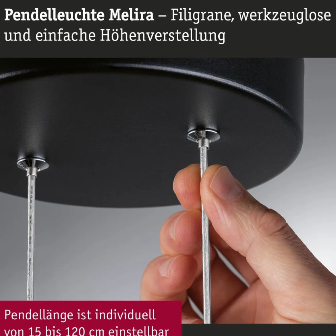 Paulmann 94928 LED Pendelleuchte Melira 2700K 3-Step-Dim Schwarz Gold