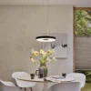 Paulmann 79517 LED Pendelleuchte Puric Pane 400mm 2700K Schwarz Grau dimmbar