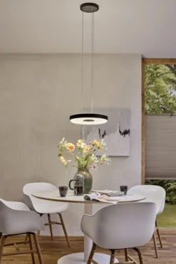 Paulmann 79517 LED Pendelleuchte Puric Pane 400mm 2700K Schwarz Grau dimmbar