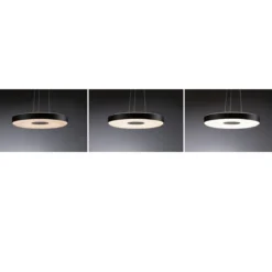 Paulmann 79517 LED Pendelleuchte Puric Pane 400mm 2700K Schwarz Grau dimmbar