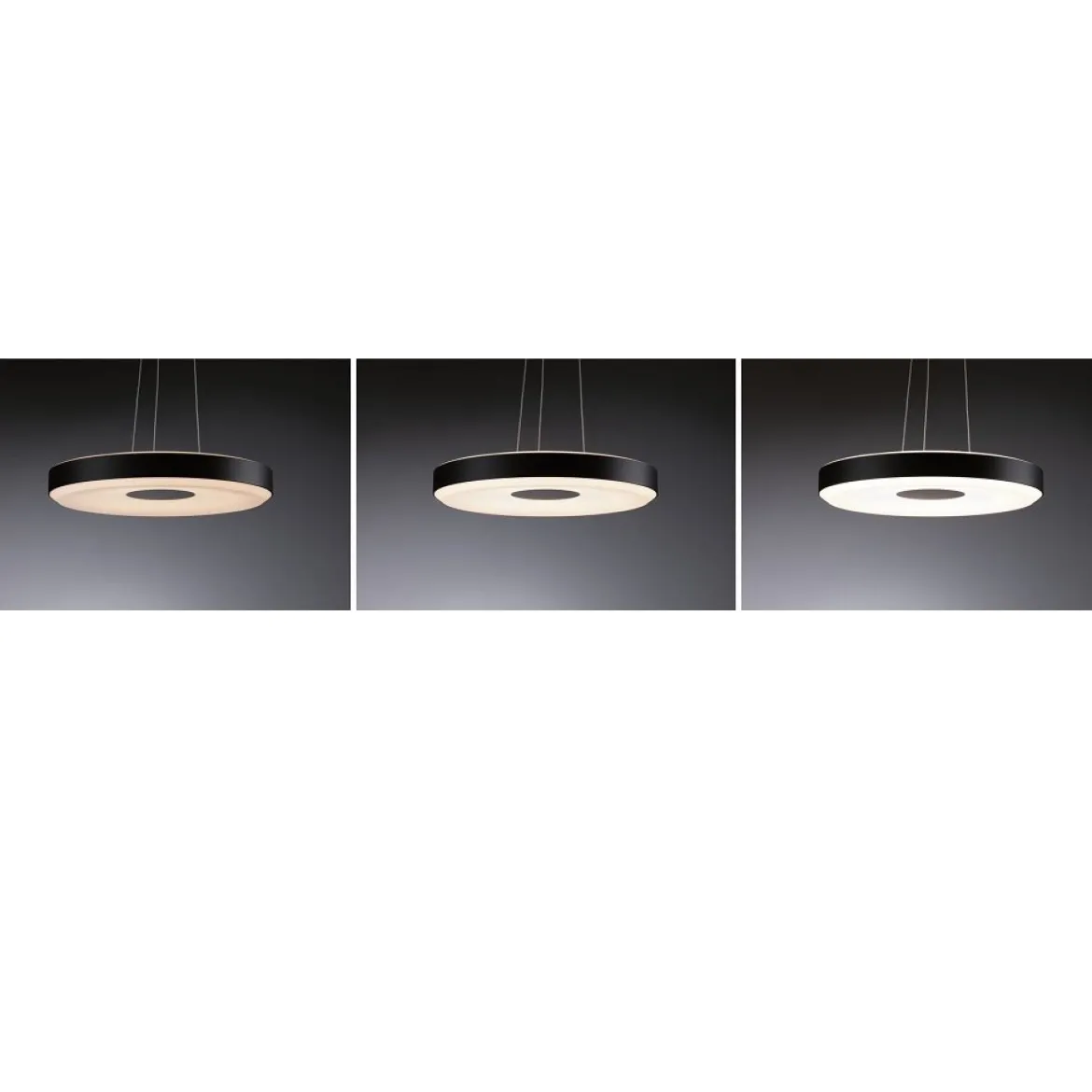 Paulmann 79517 LED Pendelleuchte Puric Pane 400mm 2700K Schwarz Grau dimmbar