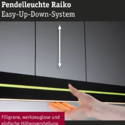 Paulmann 78474 LED Pendelleuchte Raiko RGBW Tunable White Schwarz dimmbar