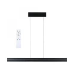 Paulmann 78474 LED Pendelleuchte Raiko RGBW Tunable White Schwarz dimmbar