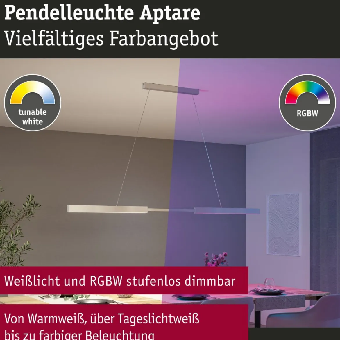 Paulmann 78025 LED Pendelleuchte SmartHome Zigbee Aptare RGBW ausziehbar Alu gebürstet