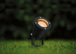 Paulmann 28972 LED Reflektor Goldlicht GU10 insektenfreundlich