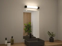 Paulmann 71213 LED Spiegelleuchte Orgon Steckdose 44cm 3000K Schwarz IP44