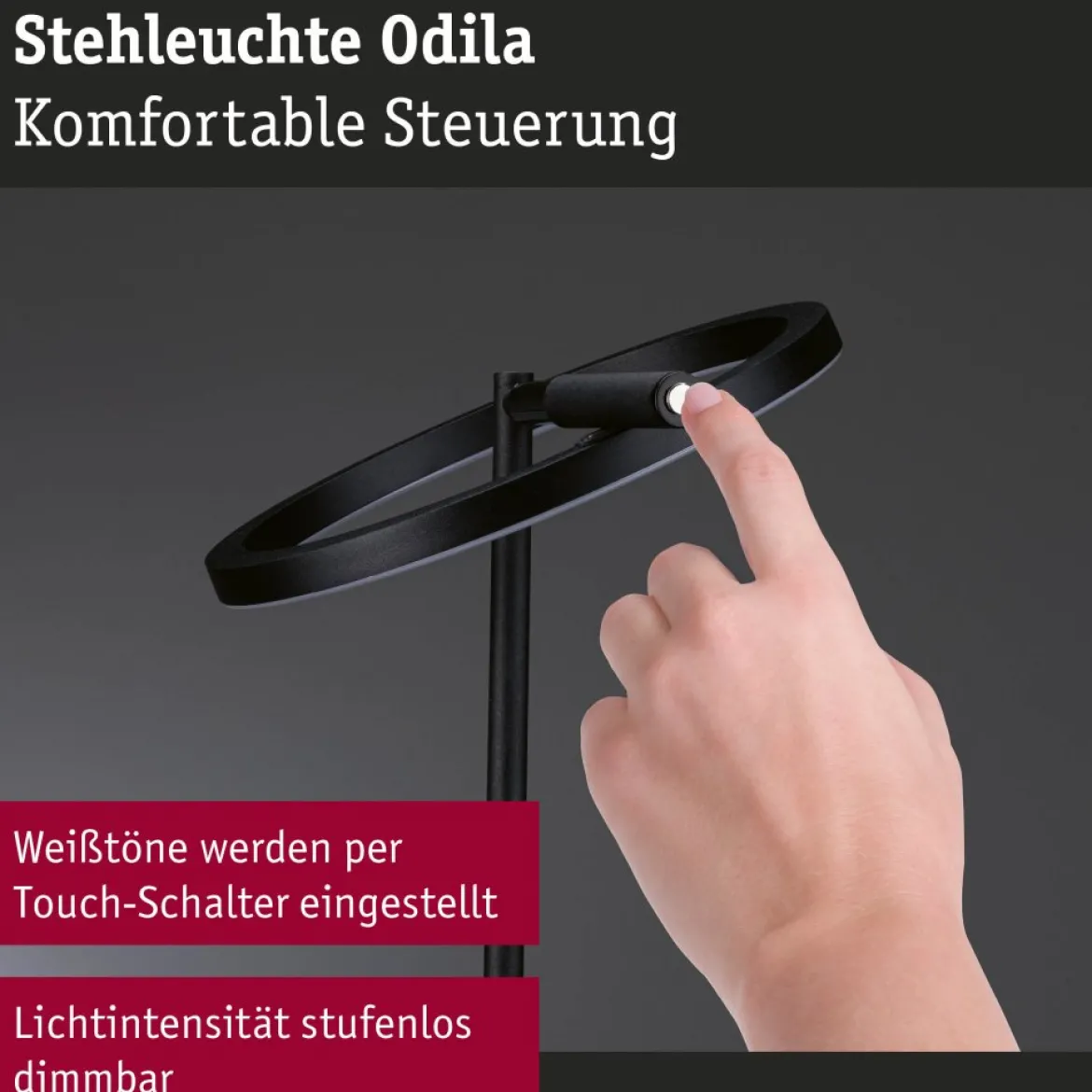 Paulmann 71279 LED Stehleuchte Odila Tunable White schwarz dimmbar