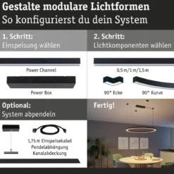 Paulmann 98178 Linion Einspeisung Power Box Zigbee 230/24V 180VA schwarz