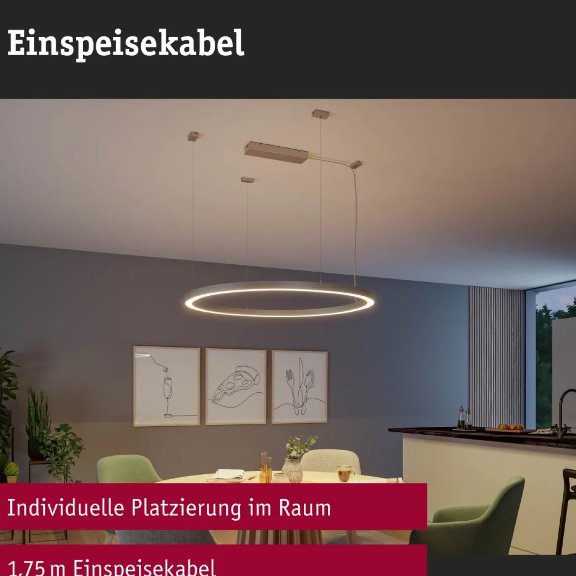 Paulmann 98191 Linion Zubehör Einspeisekabel 1,75m grau