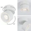 Paulmann No. 93373 Aufbauleuchte LED Spircle Weiß matt 8W 3000K 36°